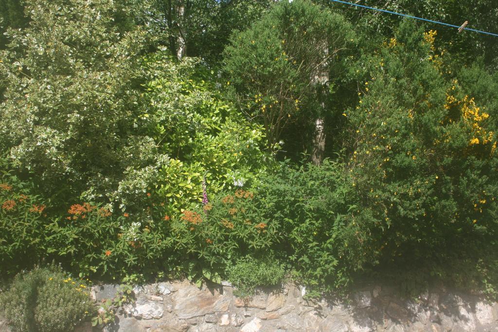 Laragh Mountain View Lodge Saggart Szoba fotó