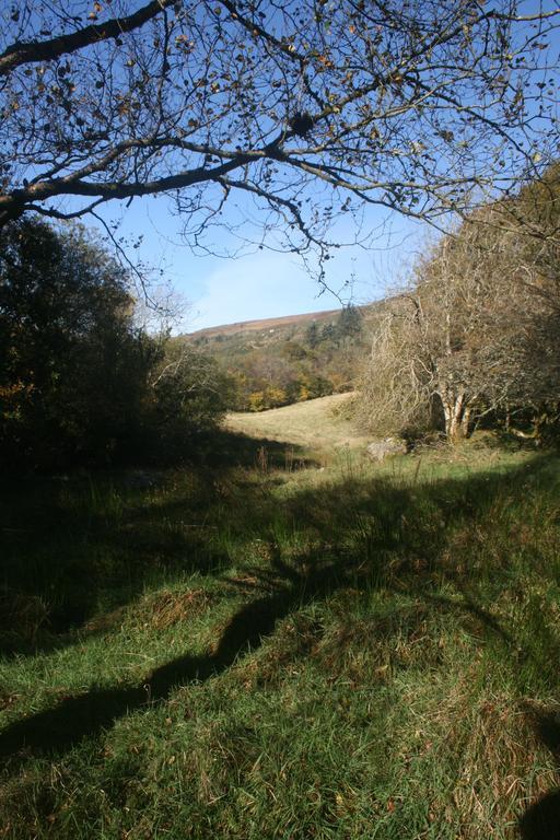 Laragh Mountain View Lodge Saggart Kültér fotó