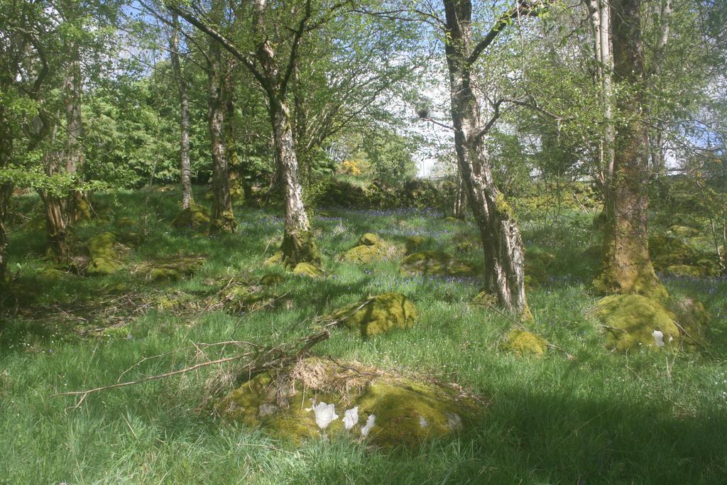 Laragh Mountain View Lodge Saggart Kültér fotó